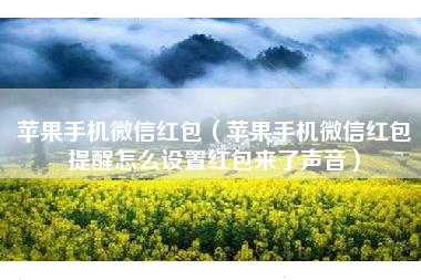 苹果手机微信红包（苹果手机微信红包提醒怎么设置红包来了声音）