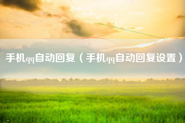 手机qq自动回复（手机qq自动回复设置）