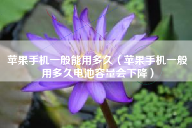 苹果手机一般能用多久（苹果手机一般用多久电池容量会下降）