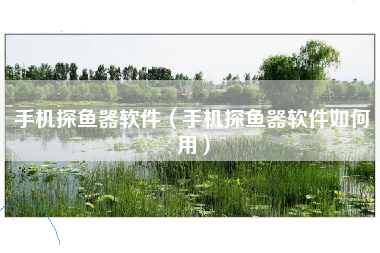 手机探鱼器软件（手机探鱼器软件如何用）