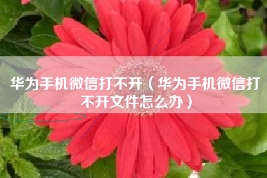华为手机微信打不开（华为手机微信打不开文件怎么办）