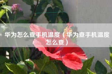 华为怎么查手机温度（华为查手机温度怎么查）