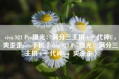 vivo S21 Pro曝光：满分三主摄+一代神U，爽歪歪voto手机「vivo S21 Pro曝光：满分三主摄+一代神U，爽歪歪」