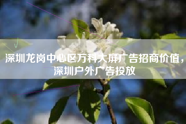 深圳龙岗中心区万科大屏广告招商价值，深圳户外广告投放